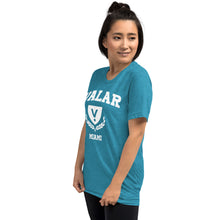 Load image into Gallery viewer, Valar Miami Tee (multiple colors available)