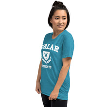 Load image into Gallery viewer, Valar Toronto Tee (multiple colors available)