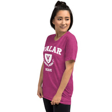 Load image into Gallery viewer, Valar Miami Tee (multiple colors available)