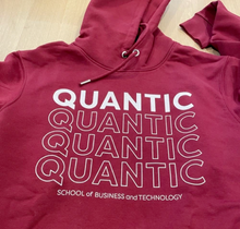 Load image into Gallery viewer, Unisex Quantic Quad Hoodie - Multiple Colors
