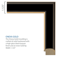 Load image into Gallery viewer, Valar Gold Embossed Diploma Frame in Onexa Gold
