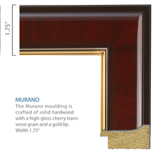 Load image into Gallery viewer, Valar Gold Embossed Diploma Frame in Murano