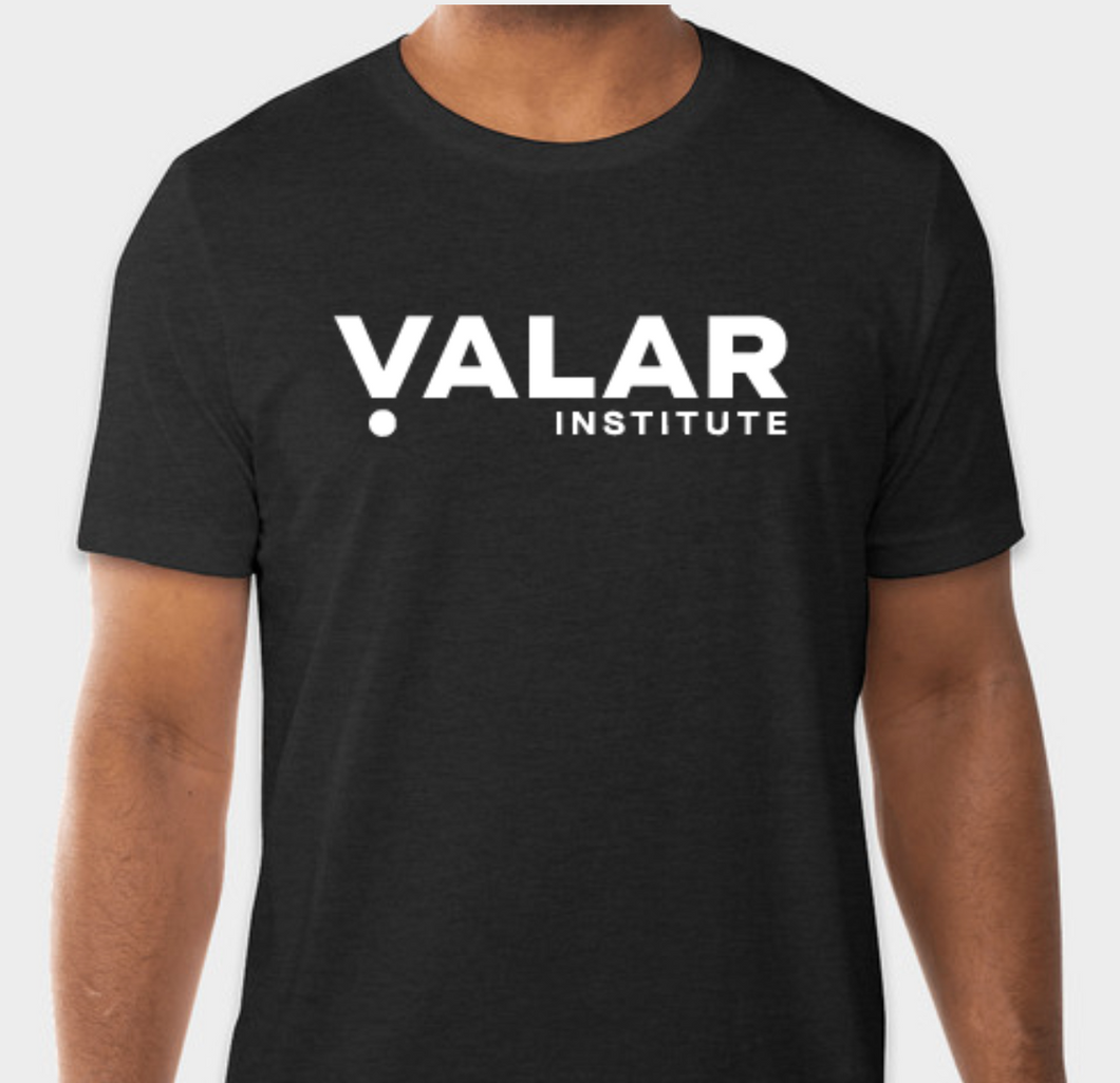 Unisex Valar Institute T-shirt