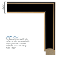 Load image into Gallery viewer, Valar Gold Embossed Diploma Frame in Onexa Gold
