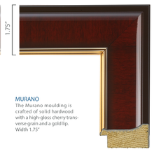 Load image into Gallery viewer, Valar Gold Embossed Diploma Frame in Murano
